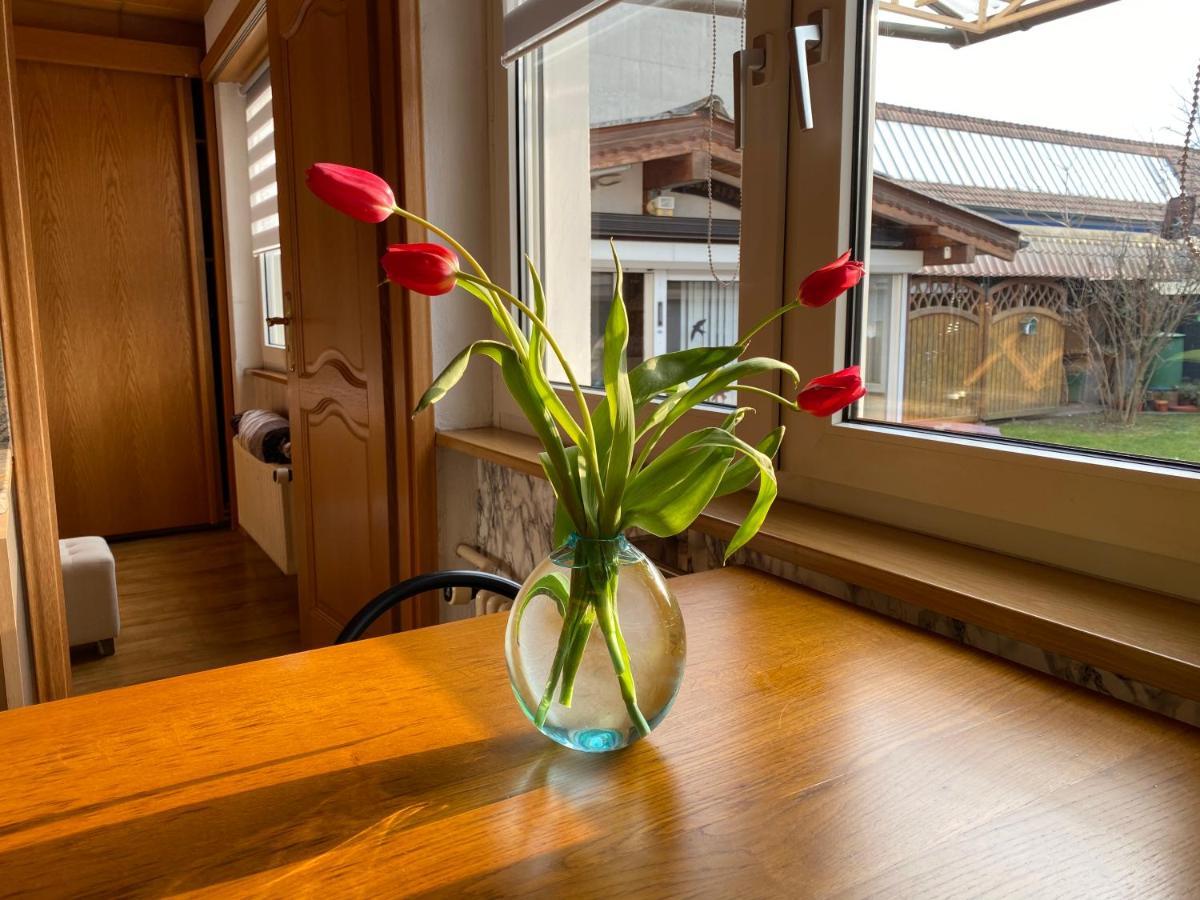 Appartement 3 Lys Сен-Луи Екстериор снимка